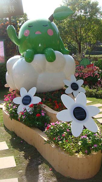 種子.JPG 種子.JPG