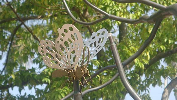 蝶 (1).JPG 蝶 (1).JPG