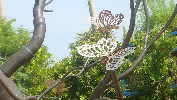 蝶 (2).JPG 蝶 (2).JPG