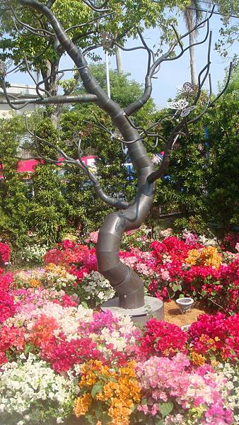 DSC08160.JPG DSC08160.JPG