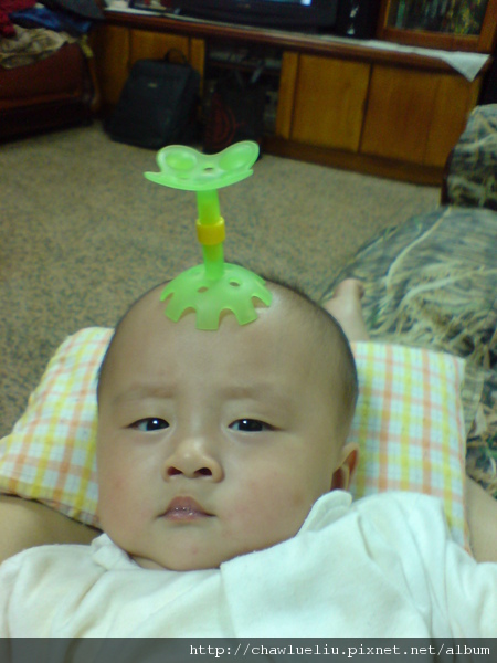DSC01815.JPG DSC01815.JPG