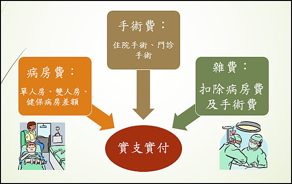 給付的項目及內容