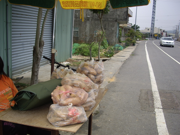 沿路地瓜攤.JPG