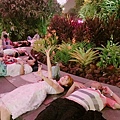 20170808 #2_170809_0184.jpg