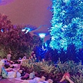 20170808 #2_170809_0193.jpg
