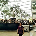 20170808 #2_170809_0244.jpg
