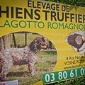 下午的行程是 Vosne-Romanée ，這家酒莊養得葡萄牙水狗是用來找松露的