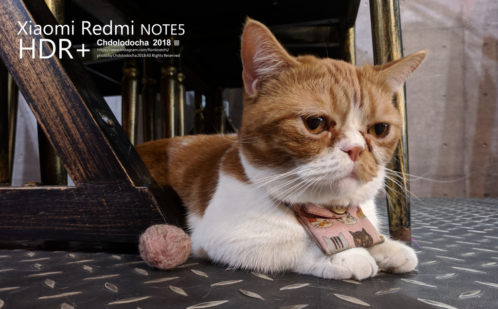 IMG_20180807_163424a