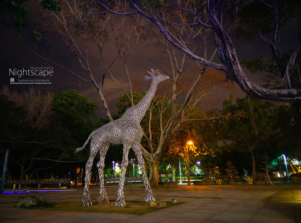 IMG_20150504_225453 - 複製