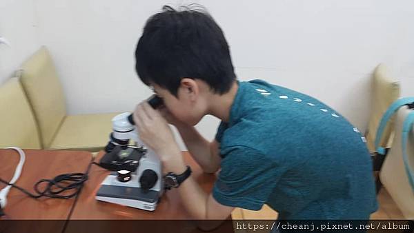 台北市私立東山國高中 數學100分 化學100分 班排第 台北市私立東山國高中 數學100分 化學100分 班排第