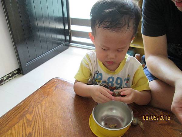 IMG_4208 IMG_4208