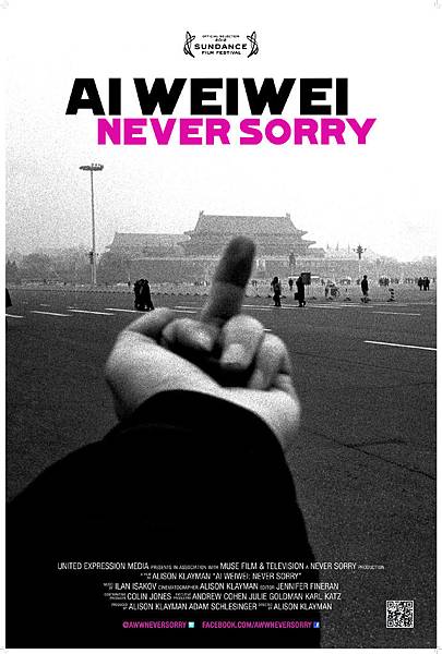 Ai weiwei Never Sorry