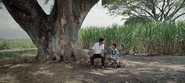 心塵家園 Land and Shade 01.jpg 心塵家園 Land and Shade 01.jpg