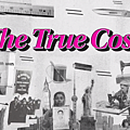 The True Cost01