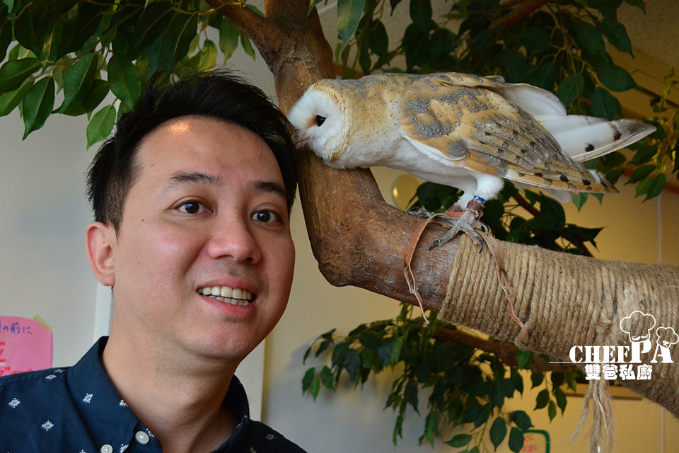 貓頭鷹3-9拷貝.jpg 貓頭鷹3-9拷貝.jpg