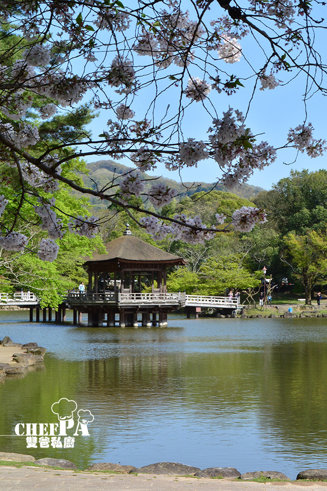 3. 浮見堂 (9).jpg 3. 浮見堂 (9).jpg