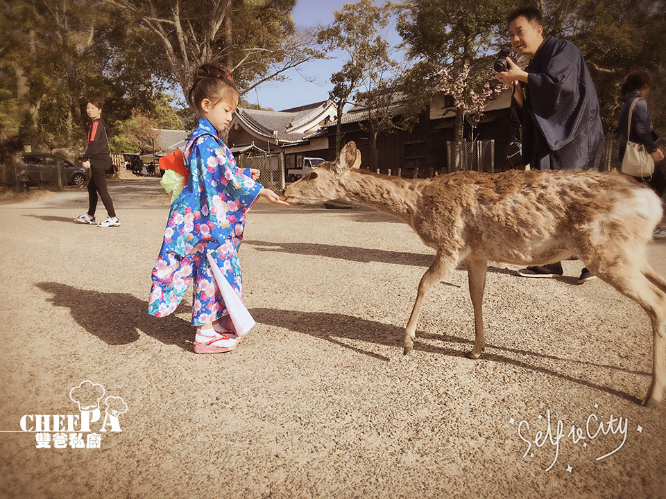 4. 奈良公園  (2).jpg 4. 奈良公園  (2).jpg