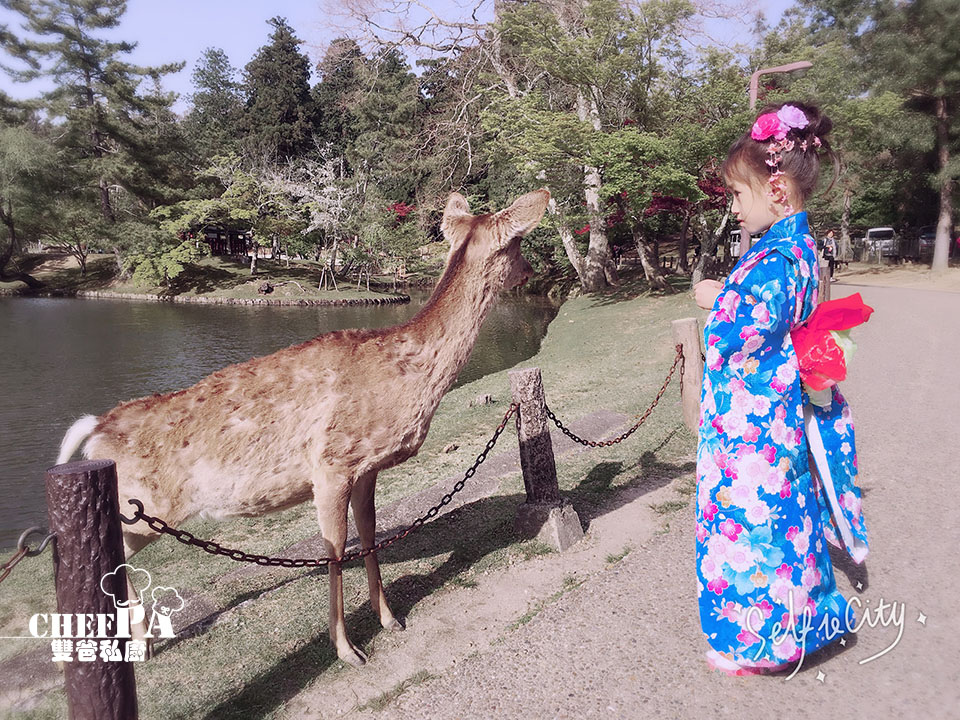 6. 東大寺鏡池   (2).jpg 6. 東大寺鏡池   (2).jpg