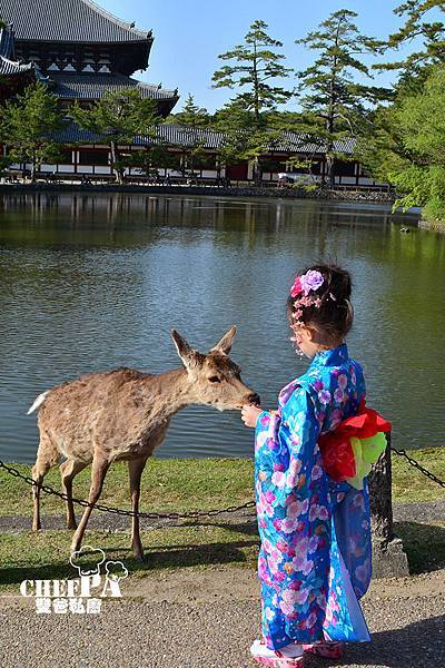 日本親子遊 奈良和服初體驗 6 東大寺鏡池好好拍 17 Jpg 藍帶雙爸親子廚房的相簿 痞客邦