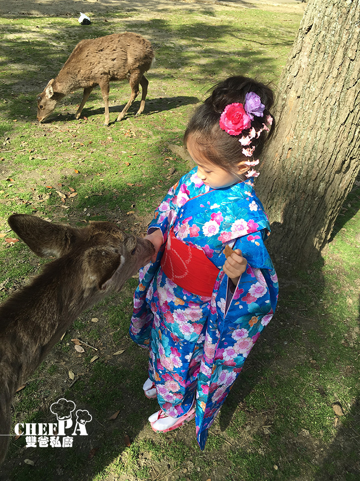 7. 奈良公園小鹿撒嬌 (1).jpg 7. 奈良公園小鹿撒嬌 (1).jpg