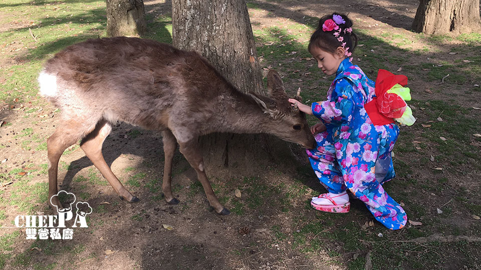 10. 輕撞雙雙的小鹿 (6).jpg 10. 輕撞雙雙的小鹿 (6).jpg