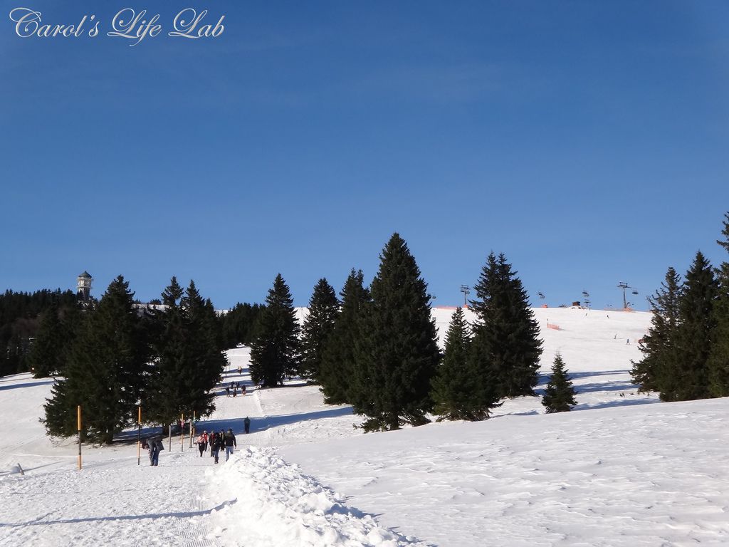 Schwarzwald