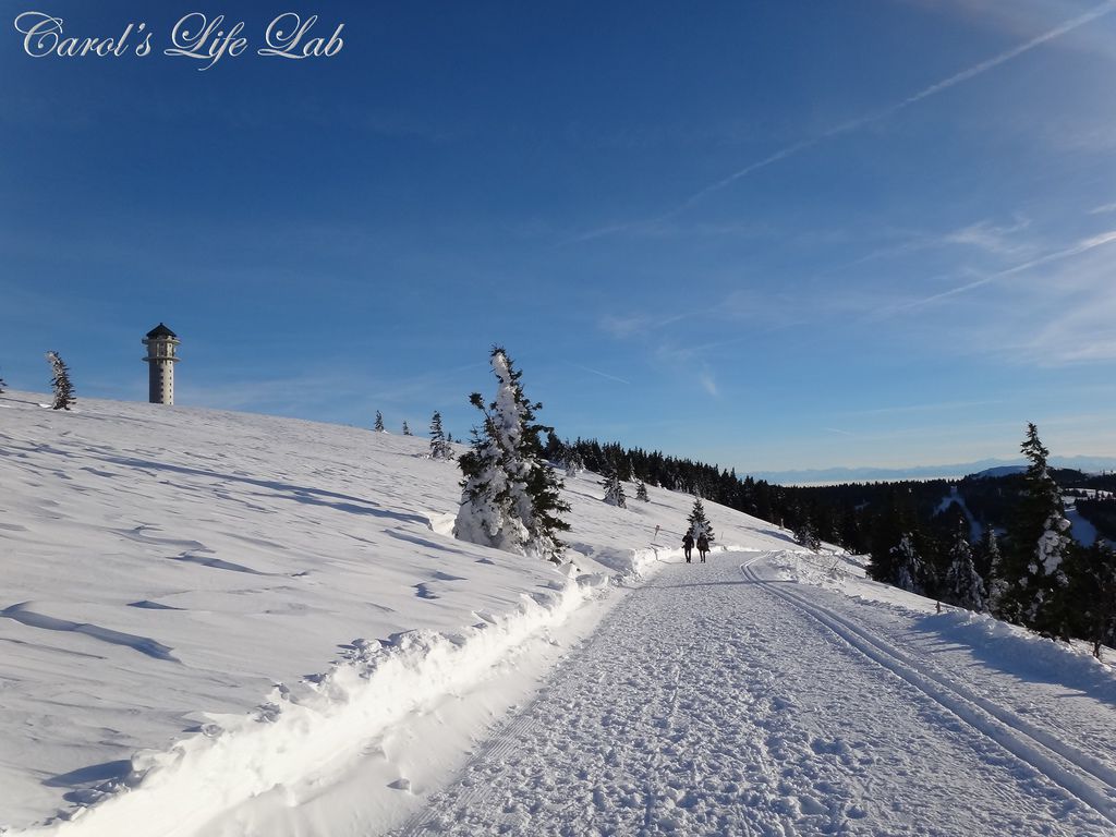 Schwarzwald