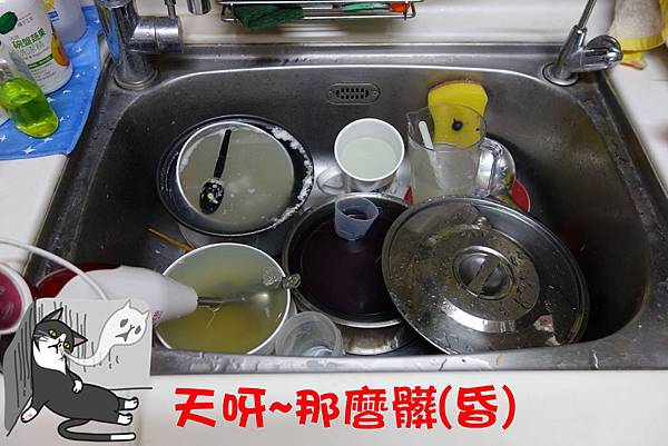 皂福洗碗精2.JPG