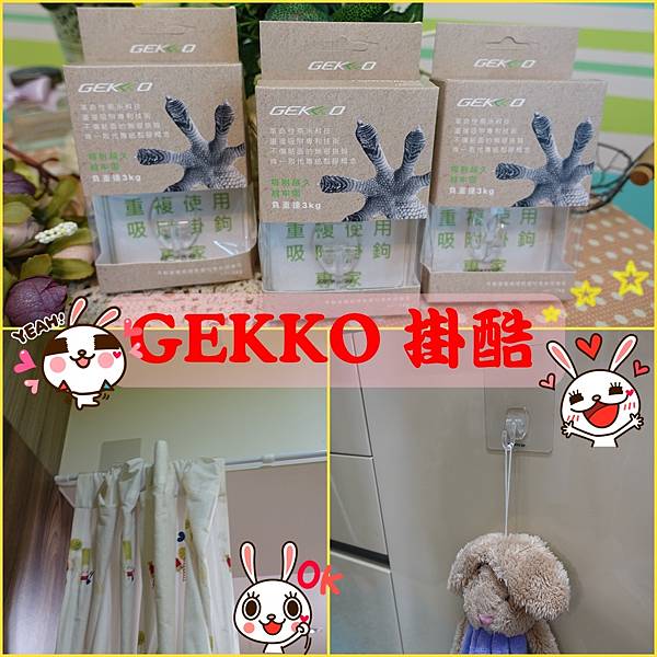 GEKKO掛酷0.jpg