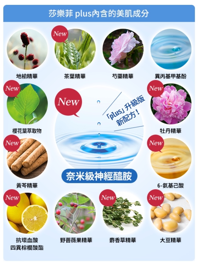 莎菲樂.jpg 莎菲樂.jpg