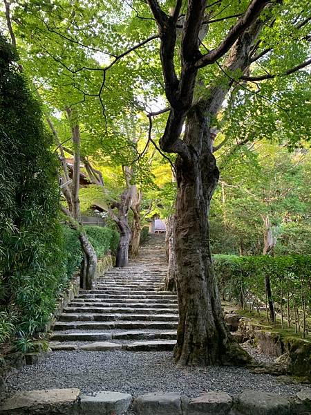 大原三千院 寂光寺 天天有拉麵_200511_0042.jpg