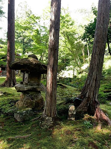 大原三千院 寂光寺 天天有拉麵_200511_0073.jpg