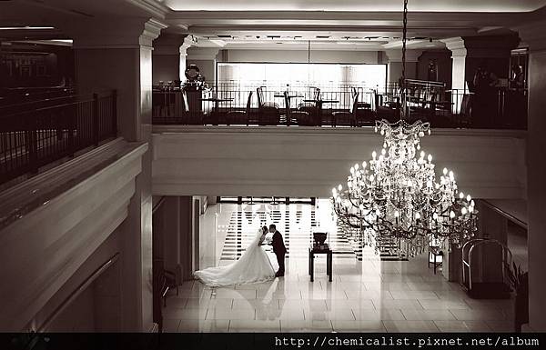 IMG_3681 IMG_3681
