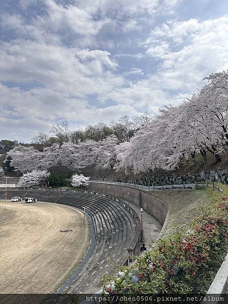 【國外旅遊】首爾賞櫻逛街. 明洞、弘大、聖水洞建大商圈、St