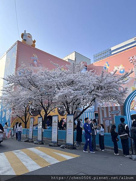 【國外旅遊】首爾賞櫻逛街. 明洞、弘大、聖水洞建大商圈、St