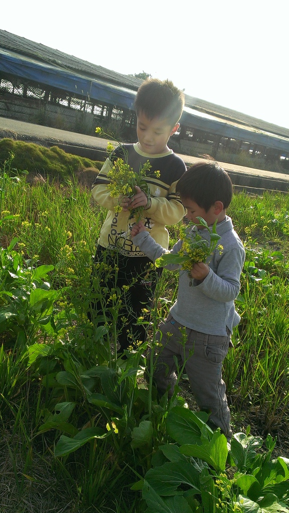 鄉下小孩2