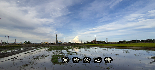 無標題99_20200908082714.png