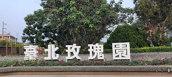 台北玫瑰園.png