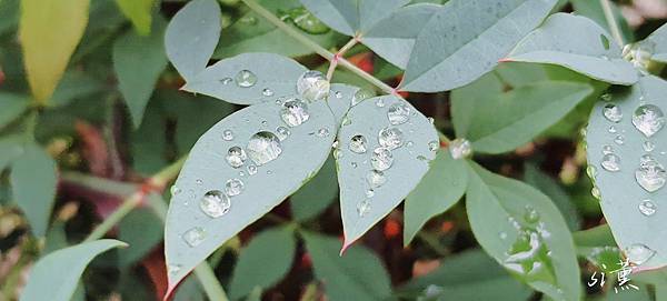 MTXX_MH20230401061248819.jpg MTXX_MH20230401061248819.jpg