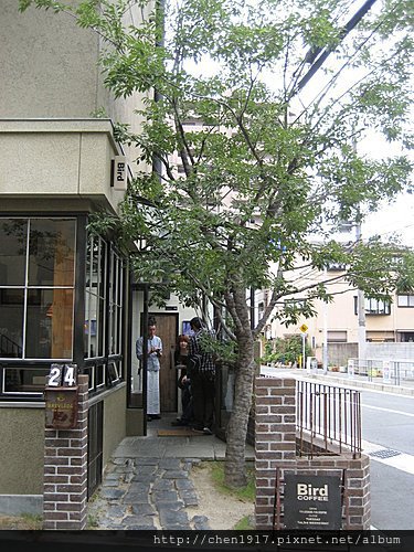 Bird coffee 