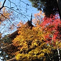 IMG_0197.JPG