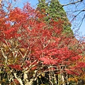IMG_0284.JPG