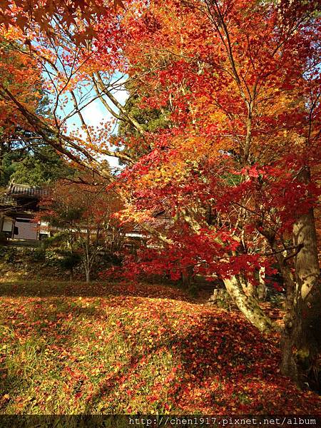 <西光寺><龍穩寺><<龍潭寺><出雲大神宮><鍬山神社>