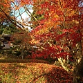 <西光寺><龍穩寺><<龍潭寺><出雲大神宮><鍬山神社>