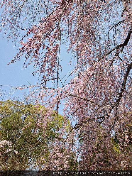 京都醍醐寺<4>