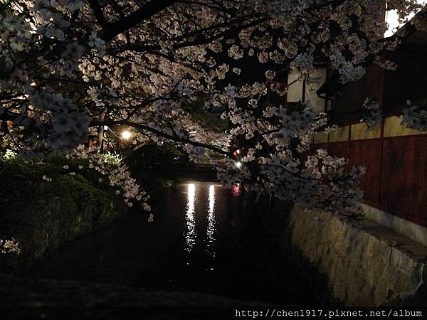 ＜鴨川御薗橋＞<下鴨神社>＜白川通祇園夜櫻＞3