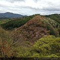 奈良縣吉野山