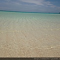 IMG_8023.JPG