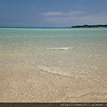 IMG_8091.JPG