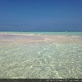 IMG_8098.JPG